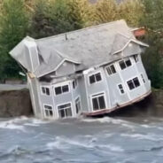 Reunited in Juneau: Couple Finds Lost Cat 26 Days After Devastating Flood