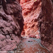 Woman & Dog Rescued From Flash Flood In Utah Canyon After Sending ‘Failed’ SOS Message