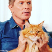 Bobby Flay Heartbroken Over the Death of His Beloved Cat, Nacho