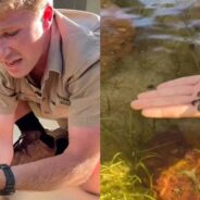 Robert Irwin Gets Emotional While Sharing Encouraging Update on Turtle Named for His Dad