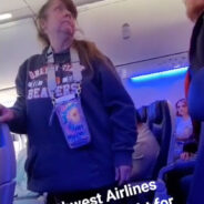 Southwest Airlines Passenger Ejected for Petting Puppy – Viral Outrage Follows