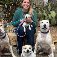 Foster Mom Shares Heartbreaking Goodbye With Beloved Senior Pit Bull, “I Loved Him From Day 1”