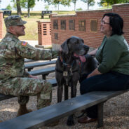 Great Dane Maverick Named America’s Hero Dog Title for Therapy Work