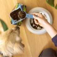 Novel Pet Food Ingredients You Need to Know About!