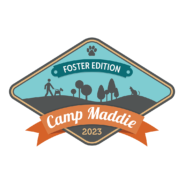 Register now for Camp Maddie: Foster Edition!