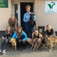 Rescuing Dogs & Cats from the War in Ukraine Is an International Effort