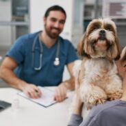 Taking Your Dog or Cat to an Integrative Vet – How to Get the Most Out of Your Appointment