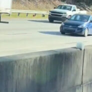 Atlanta Firefighters Save Terrified Kitten From Busy Highway