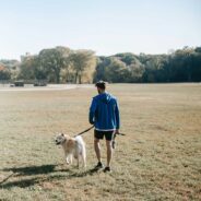 Celebrating Professional Pet Sitters Week and the Vital Role of Pet Caregivers