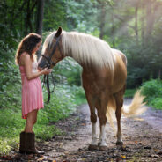 Celebrating the Beauty and Resilience of Horses on National Horse Protection Day