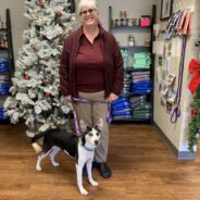 Historic Milestone — Pennsylvania Animal Shelter Finds All Kennels Empty