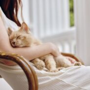 How Being a Cat Parent Improves Your Health: Top 5 Benefits