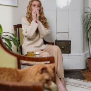 Making Your Home Allergy-Friendly for Pet-Allergic Guests