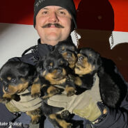 Oregon Police Rescue 15 Dogs Abandoned For Days In Back of U-Haul Truck