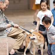 Owning A Dog Reduces Risk of Dementia In Old Age By 40%, According To Researchers