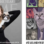 Pennsylvania SPCA Asks People To Donate $13 on December 13 To Local Shelters In #TaylorSwiftChallenge