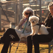 Pets May Slow Dementia Progress in Older Adults Living Alone, Study Reveals