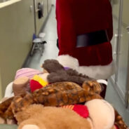 “Santa Paws” Visits Florida Shelter To Bring Toys To The Good Boys And Girls