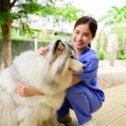 4 Reasons to Try Mobile Veterinary Services