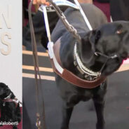 Aria Mia Loberti’s Guide Dog “Ingrid” Makes History As First Dog For The Blind To Walk Red Carpet At Golden Globes