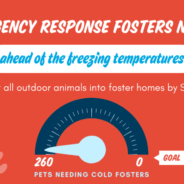 Emergency Response Needed For Outdoor Animals Ahead of Freezing Temps this Weekend