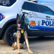 Florida Police Department Spoils Retiring K9 With Sweet Treat