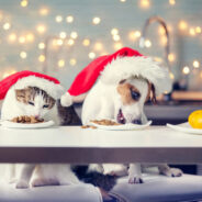 Healthy Holiday Recipes You Can Share with Your Dog or Cat