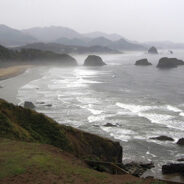 U.S. Coast Guard Rescues Dog Who Fell Off Oceanside Cliff In Oregon On New Year’s Day