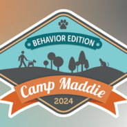 Camp Maddie: Behavior Edition featuring Michael Shikashio