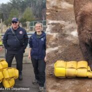 Fire Department Finds Good Use for Old Hoses: Turning Them Into Toys for Zoo Animals