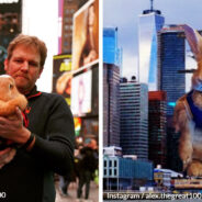 From Meat Market to Celebrity Therapist The Incredible Journey of 30-Pound Rabbit Alex