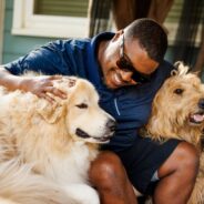 How you can take Companions and Animals for Reform and Equity’s REDI course for just $25