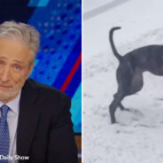 Jon Stewart Chokes Back Tears As He Shares On The Daily Show That His Dog, Dipper, Has Passed Away