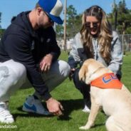 Mets Star Pete Alonso Pledges $1,000 Donation to Rescues for Each Home Run He Hits This Year