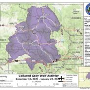 New Map Allows Residents to Follow Reintroduced Gray Wolf Activity in Colorado