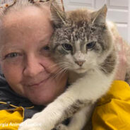 Cat, Kevin Durant, Missing For 7 Years Is Reunited With Mom Thanks To Microchip