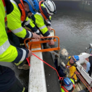 Golden Retriever Rescued From Douglas Harbour After Canine Sibling Alerts Passerby For Help