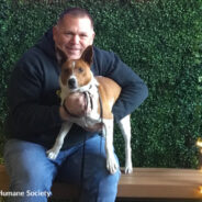 Man Cancels Flight Home After Falling In Love With Shelter Dog He Met At Tourist Attraction In North Carolina