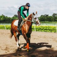 Rampant Cruelty Unleashed in Georgia’s Underground Bush Track Racing