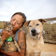 Resources to help make pet adoptions more welcoming