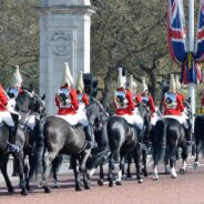 Terrified Horses Bolt Through London Streets, Sparking Outcry for Military Policy Review