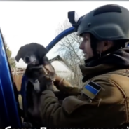 Injured Dog And Her Newborn Puppies Rescued From Destroyed Home Near Frontlines In Ukraine