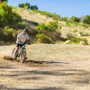 E-Bikes Are the New Secret Weapon Against African Poachers