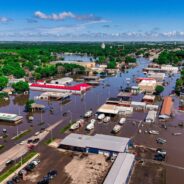 Emergency Flight: Town Devastated by Flood Needs to Evacuate Pets