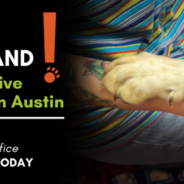 It’s Time We Demand More Effective Lifesaving in Austin