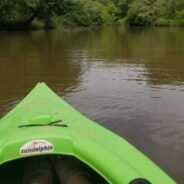 Penny’s Kayaking Adventure: Why I Take Her With Me