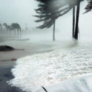 People & Pets Need Our Help As Hurricane Beryl Leaves Path of Destruction Across Caribbean and Houston