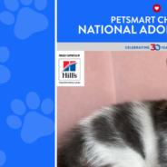 Petsmart Charities National Adoption Week