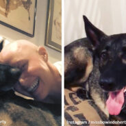 Shannen Doherty’s Loyal Dog Bowie Detected Her Cancer Before Doctors