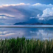 Toxic Dust Storms Loom as Great Salt Lake Faces Environmental Collapse